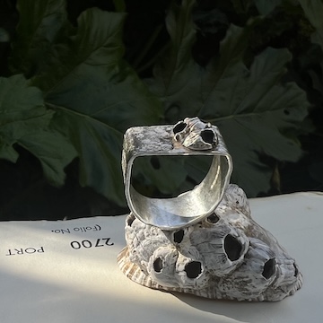 Barnacle granite ring