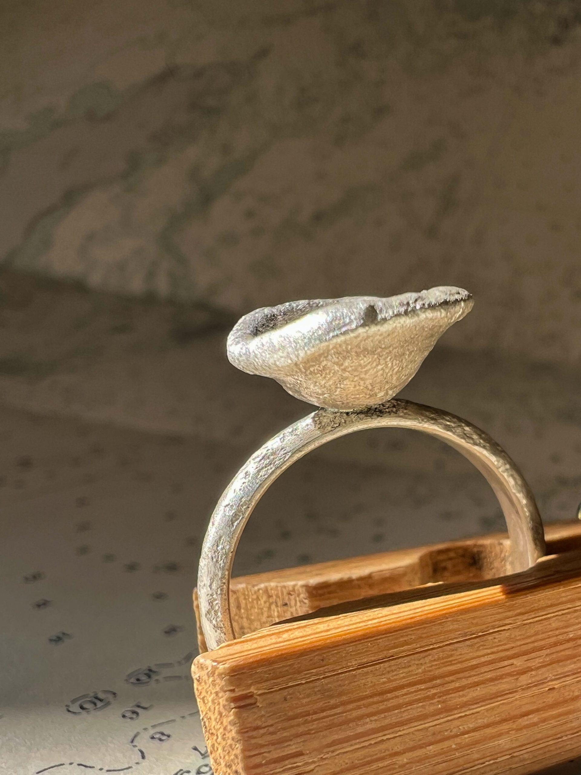 Salt Cup & Pebble Ring 3
