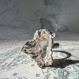 Salt Ring Velocity