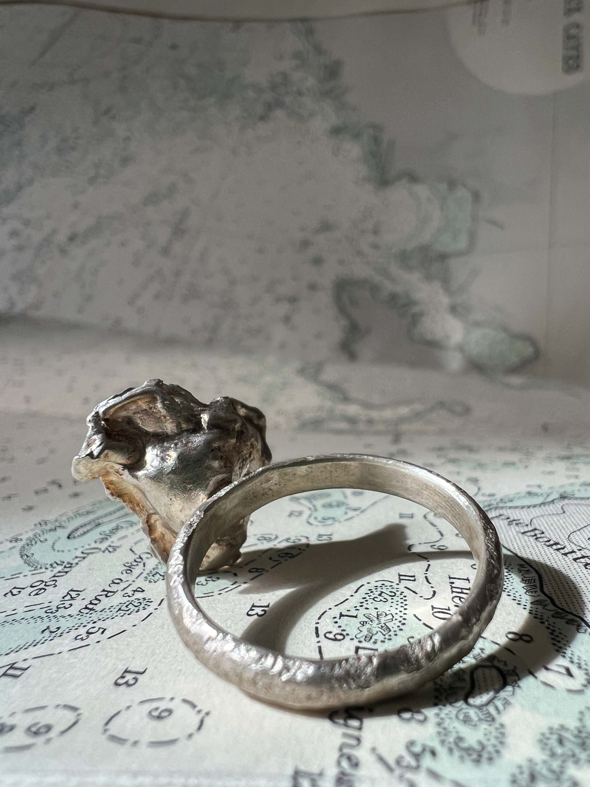 Salt Ring velocity. 3