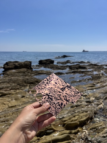 Seaweed Etching drawing